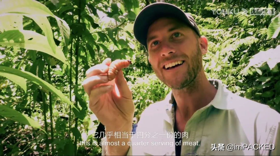 RobGreenfield的#不花钱旅行#玄学