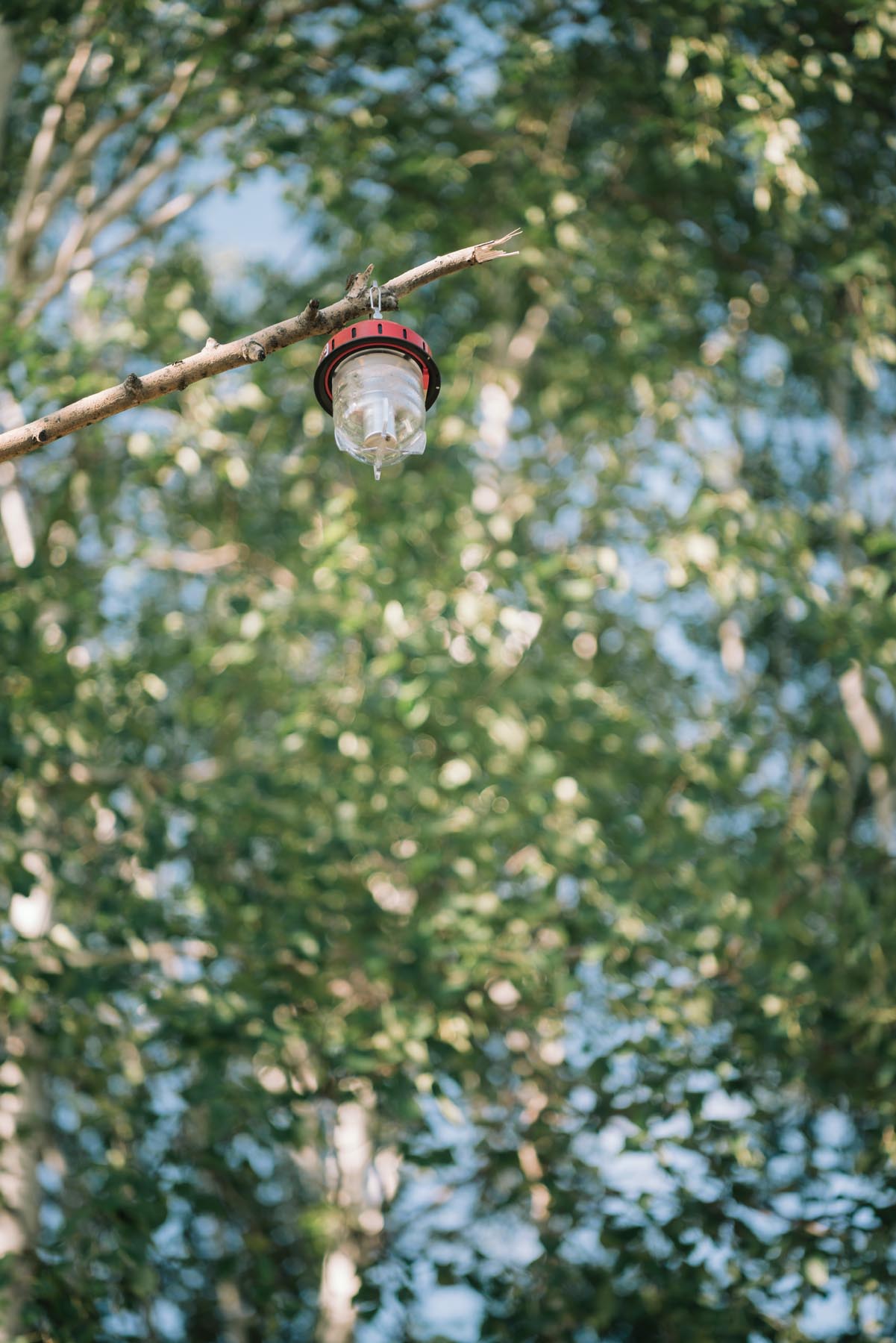 拥有这21件高颜值户外装备，让我们的草原野餐会像家里般优雅