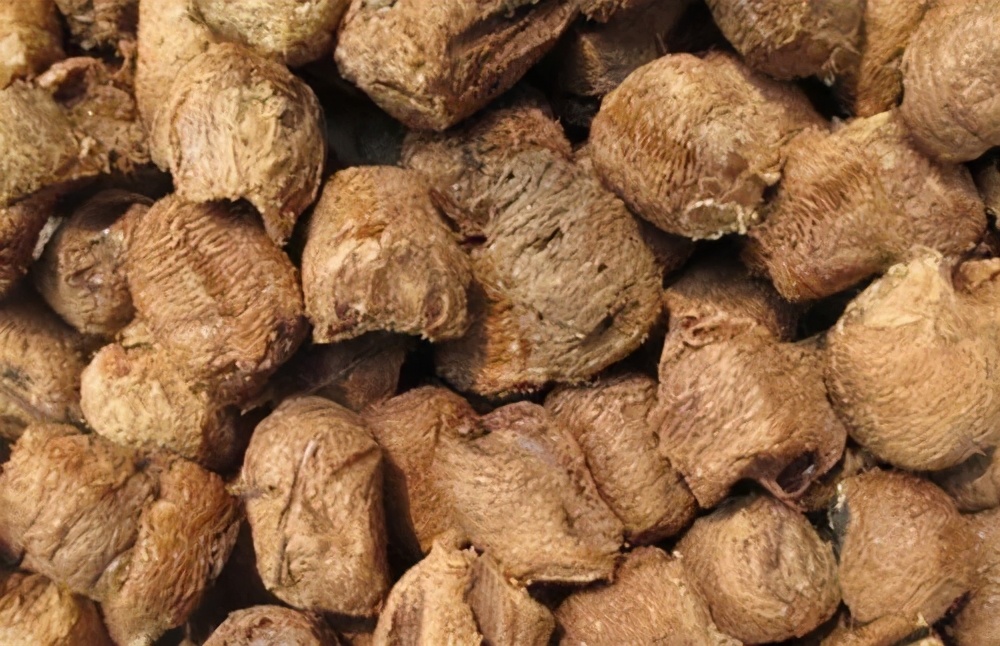 中医药治疗糖尿病肾病四期,糖尿病肾病中医讲解视频