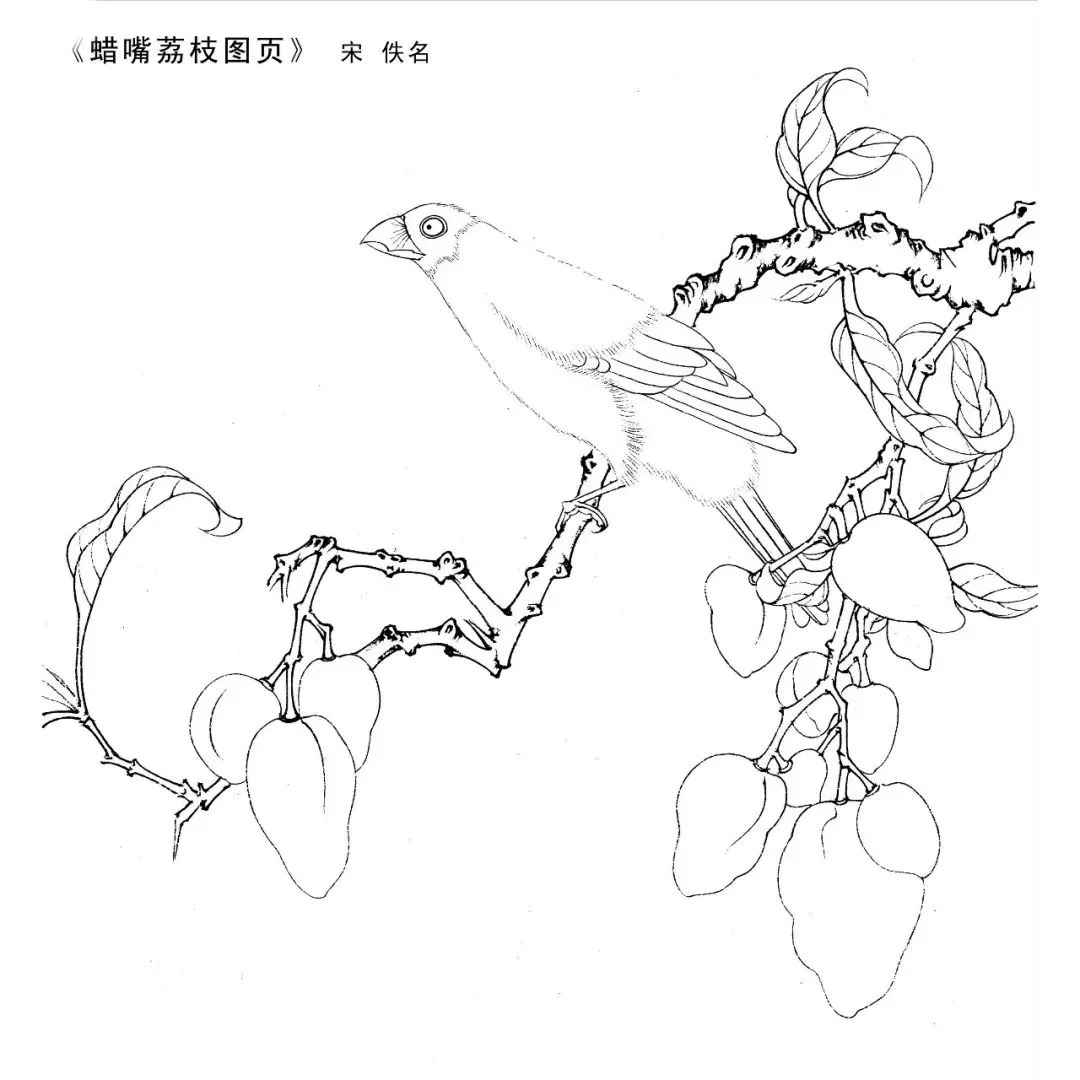 宋人工笔白描,宋人小品花鸟工笔白描高清图