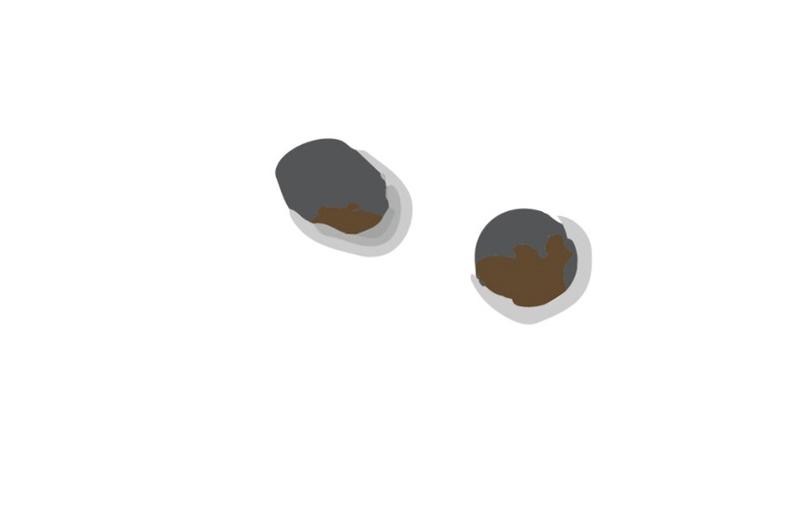 怎么看猫咪粑粑里有没有虫,猫咪软便蹭屎怎么办吃点什么药