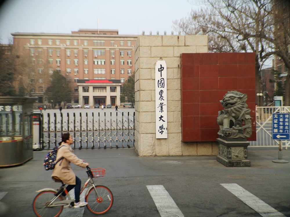 农大附小2019毕业生,云南农大2019毕业生