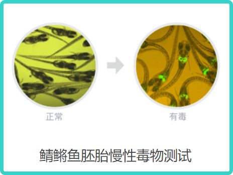 测评针对垮脸的抗老面霜,平价抗衰老面霜真实测评