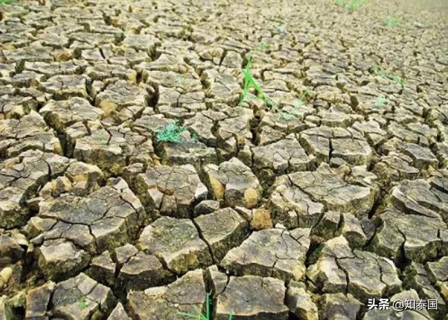 芭提雅鬼城视频,泰国芭提雅鬼城