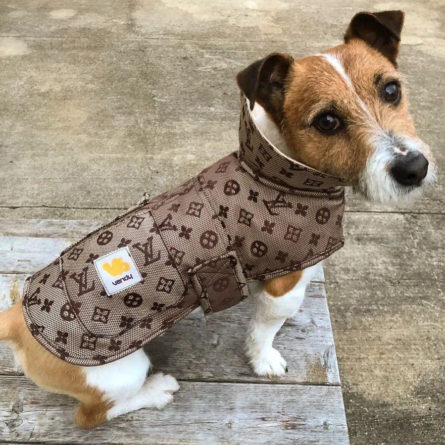 碧梨品牌测评,碧梨是哪个品牌