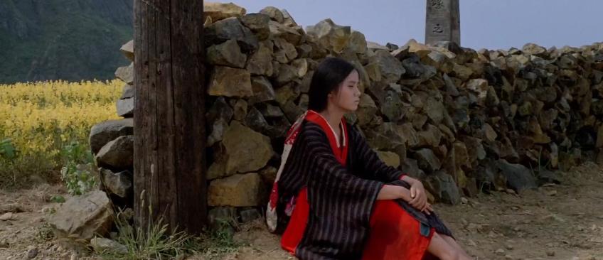 苦难的台湾历史剧本,台湾催人泪下的纪录片