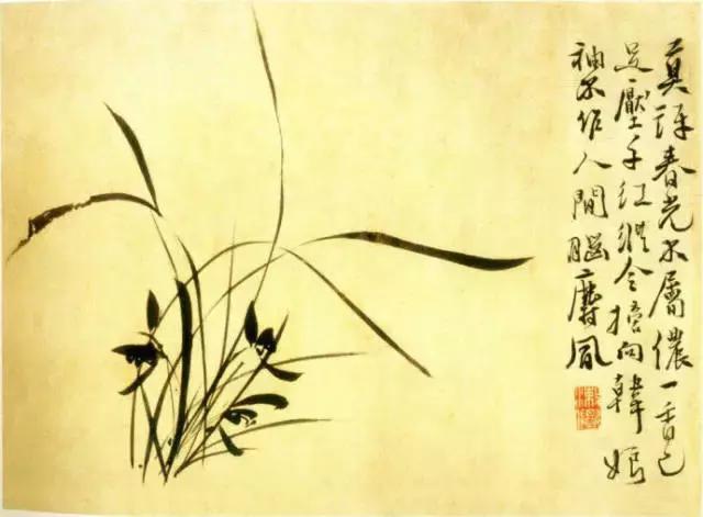 最漂亮的24尺写意兰花图片,最全历代名家兰花图看了还想再看