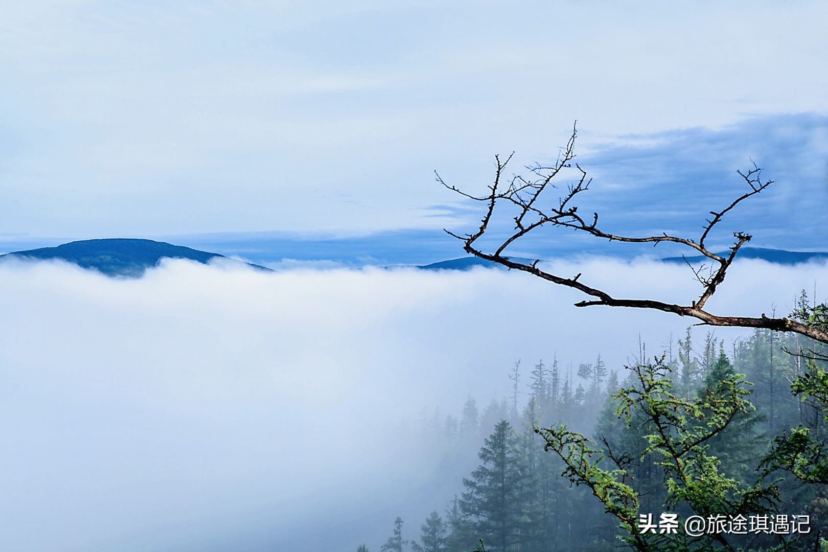 跟团游的十大缺点,跟团游究竟有哪些陷阱