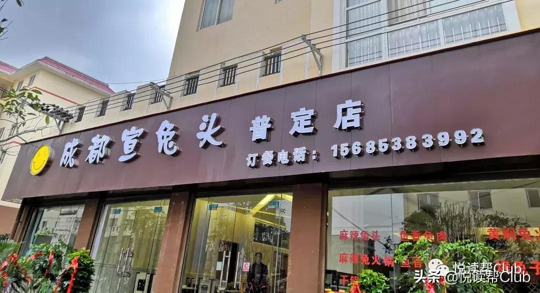 连成都人都赞不绝口的兔头空降安顺！这些兔兔还是安顺人自家养的