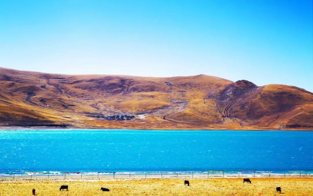 自驾西藏的风景打卡,自驾藏西