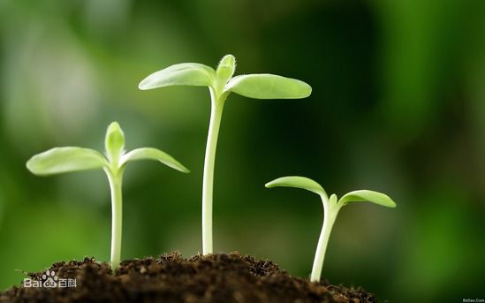 杰赋婴儿配方羊奶粉,极速版奶粉的制作过程