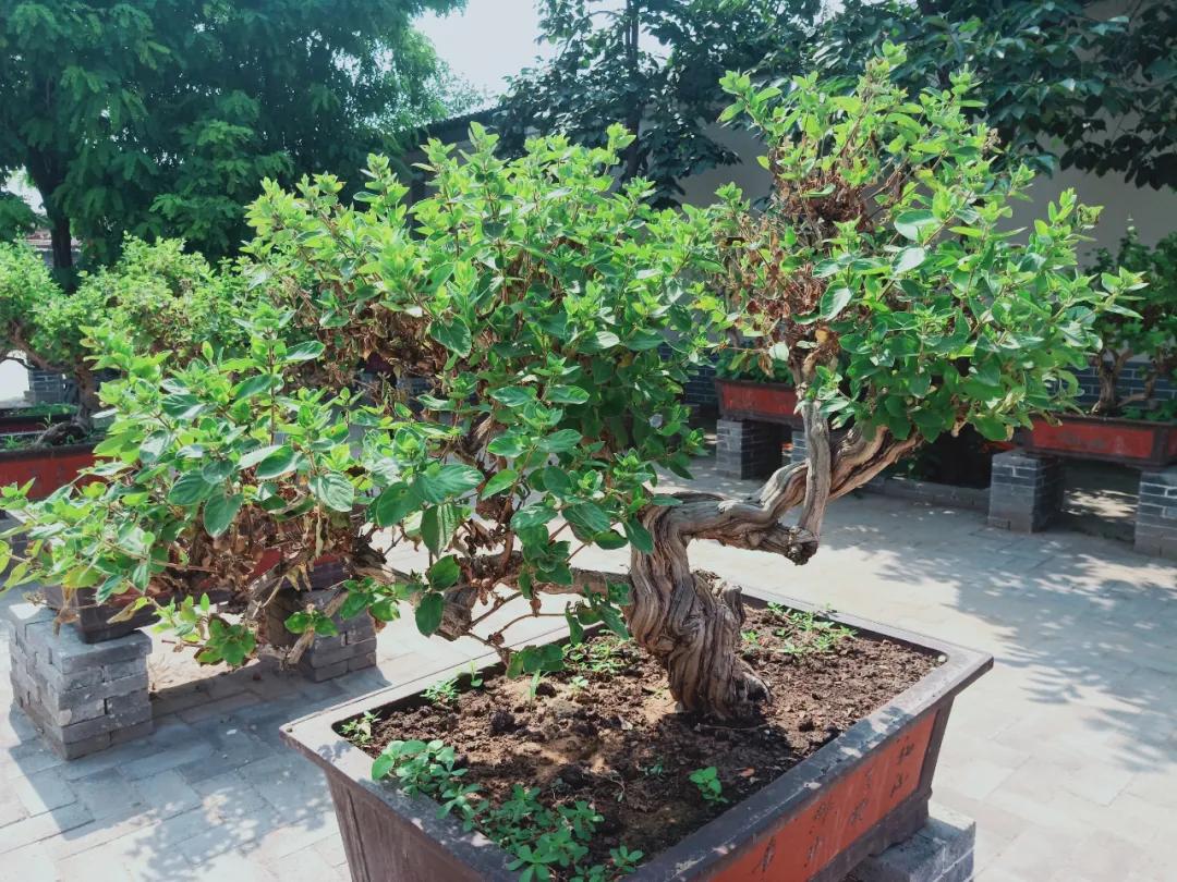 一大波美图即将来袭,一组美照来袭