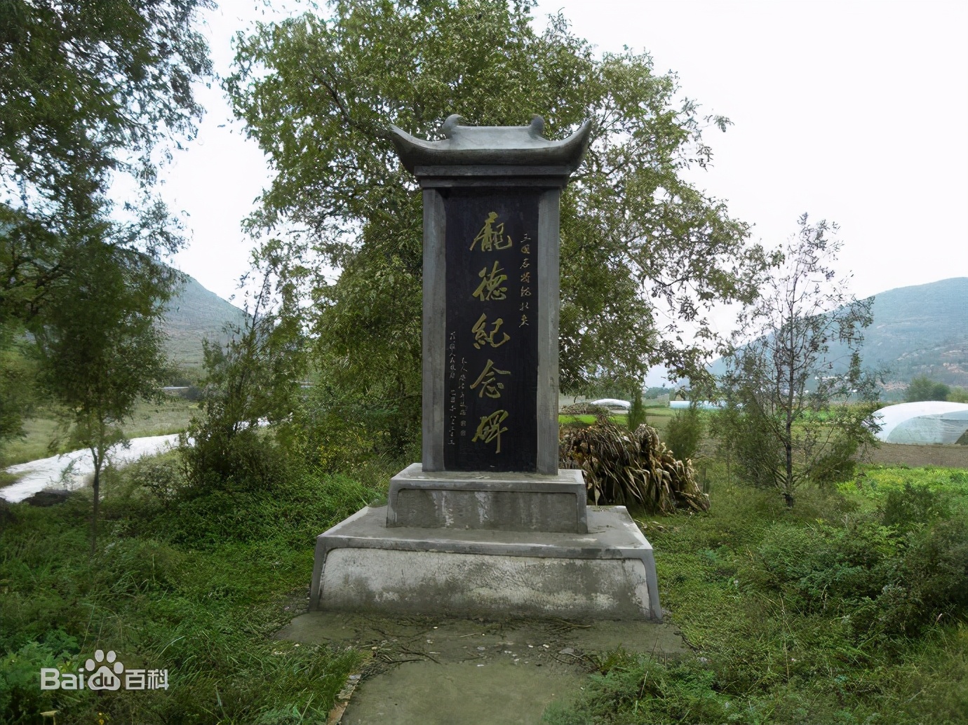 武山县油菜花旅游打卡地,天水武山滩歌油菜花海掠影