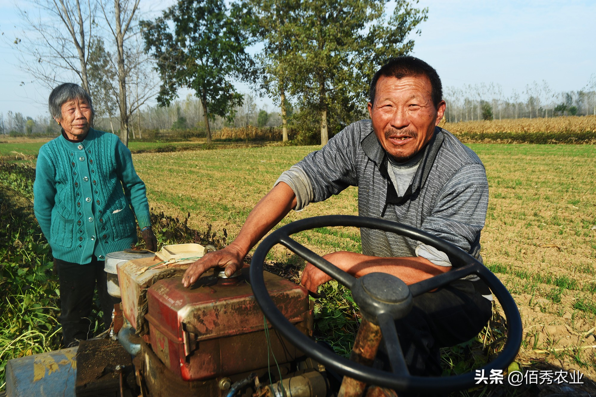 女记者辞职,记者辞职卖地瓜年入一亿引争议