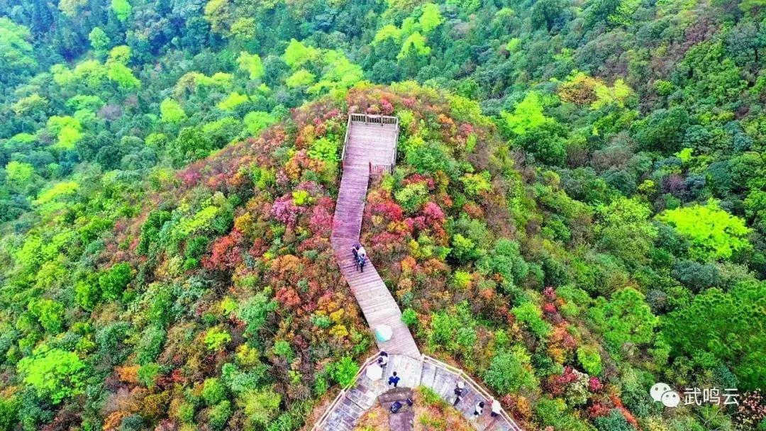 叮咚攻略第一名,南宁大明山景区游玩攻略