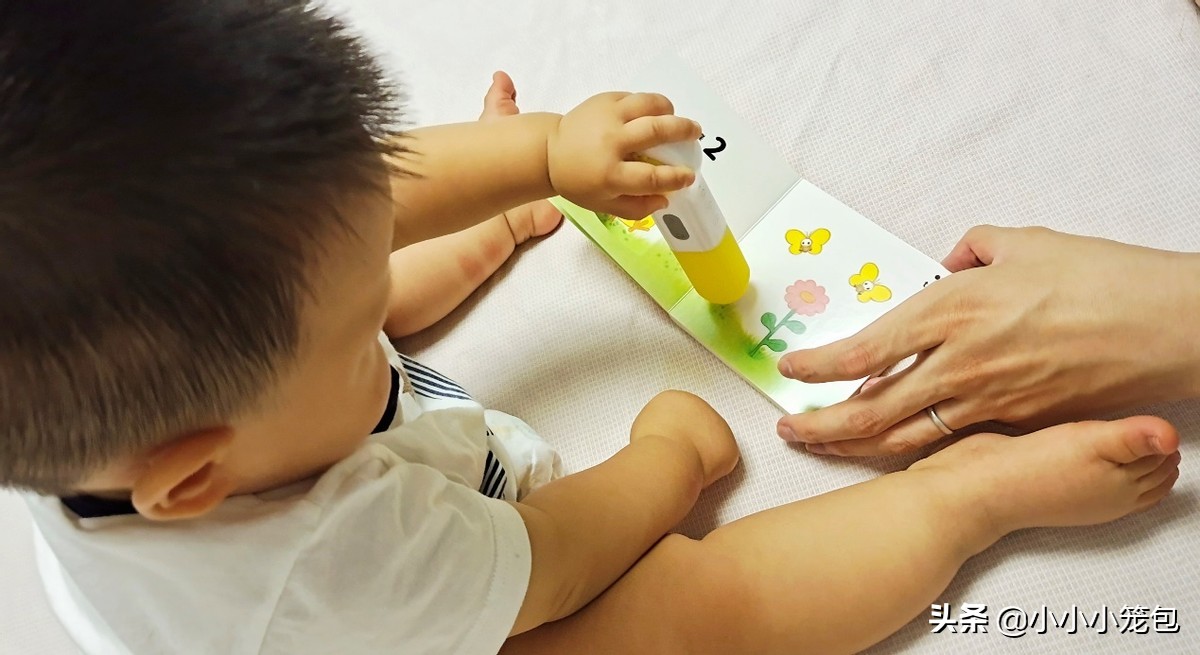 点读笔哪个好用性价比高实测,测评点读笔到底值不值得买