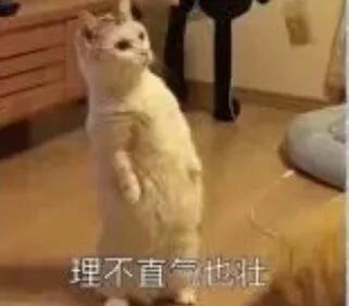 一打五最简单的方式,秒换装备一打五教学