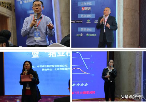 养猪如何支撑利润目标达成,养殖猪发展趋势