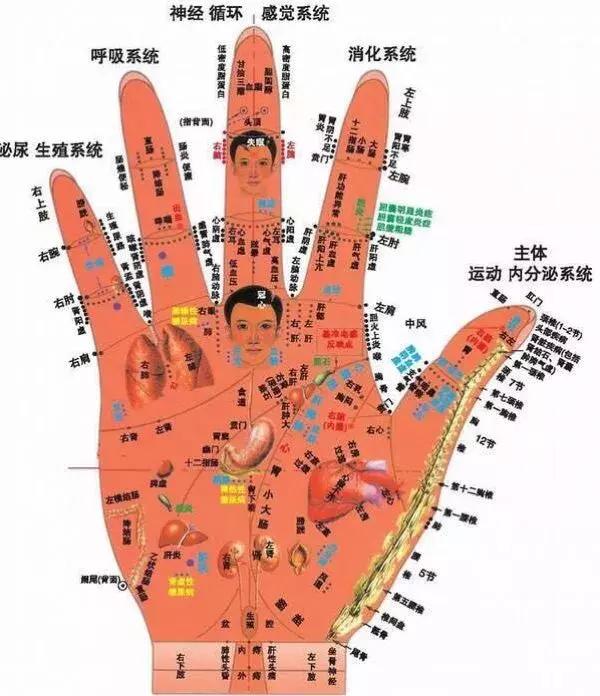 文玩核桃如何通过蒸煮包浆上色,文玩核桃包浆初期是什么样子的