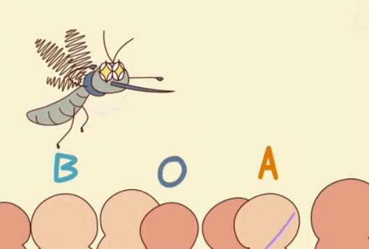 o型血是不是蚊子最喜欢吃的,蚊子是不是喜欢o型血的人