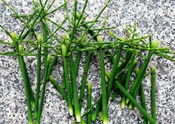 这种野草300元一斤在农村很常见,农村常见的一种野草农民不认识的