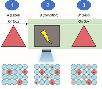 深兰科技现场,深兰科技