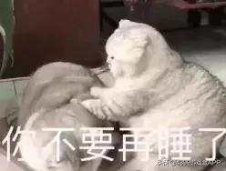 绝地求生影视化，真挚的兄弟情再度打开？大热IP究竟如何改编