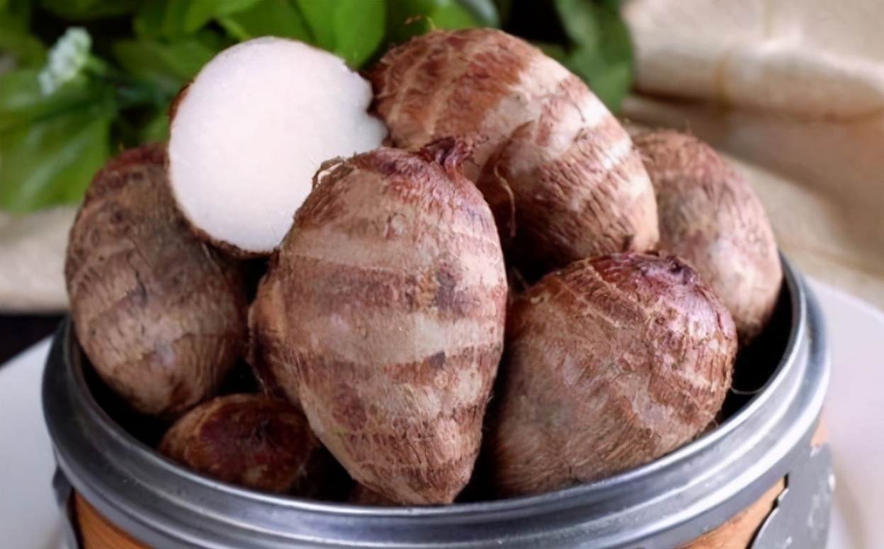 揭秘假肉丸的视频,假肉丸曝光