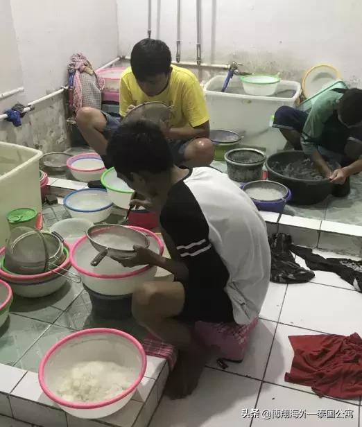 泰国燕窝比马来好些吗,印尼燕窝和马来西亚燕窝区别