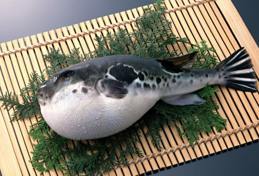 中了河豚毒怎么办,河豚的毒是怎么解