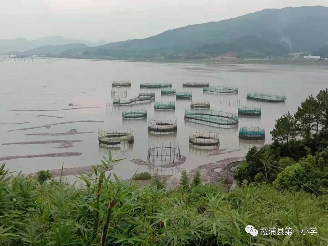 霞浦一中高一新生夏令营,霞浦县夏令营