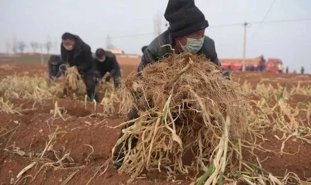 如果疫情再下去你能熬多久,疫情如果熬不过怎么办