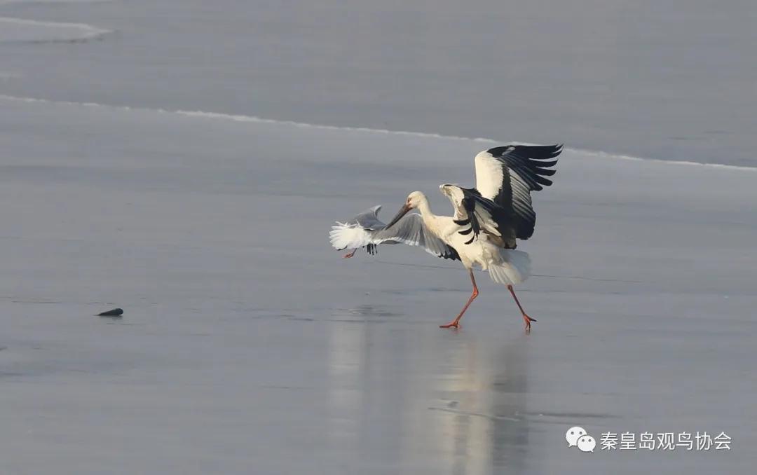 爱心让世界温暖的句子,爱心让生活更温暖