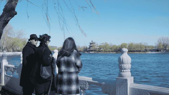 北京姑娘在西藏开民宿,北京姑娘在云南开民宿