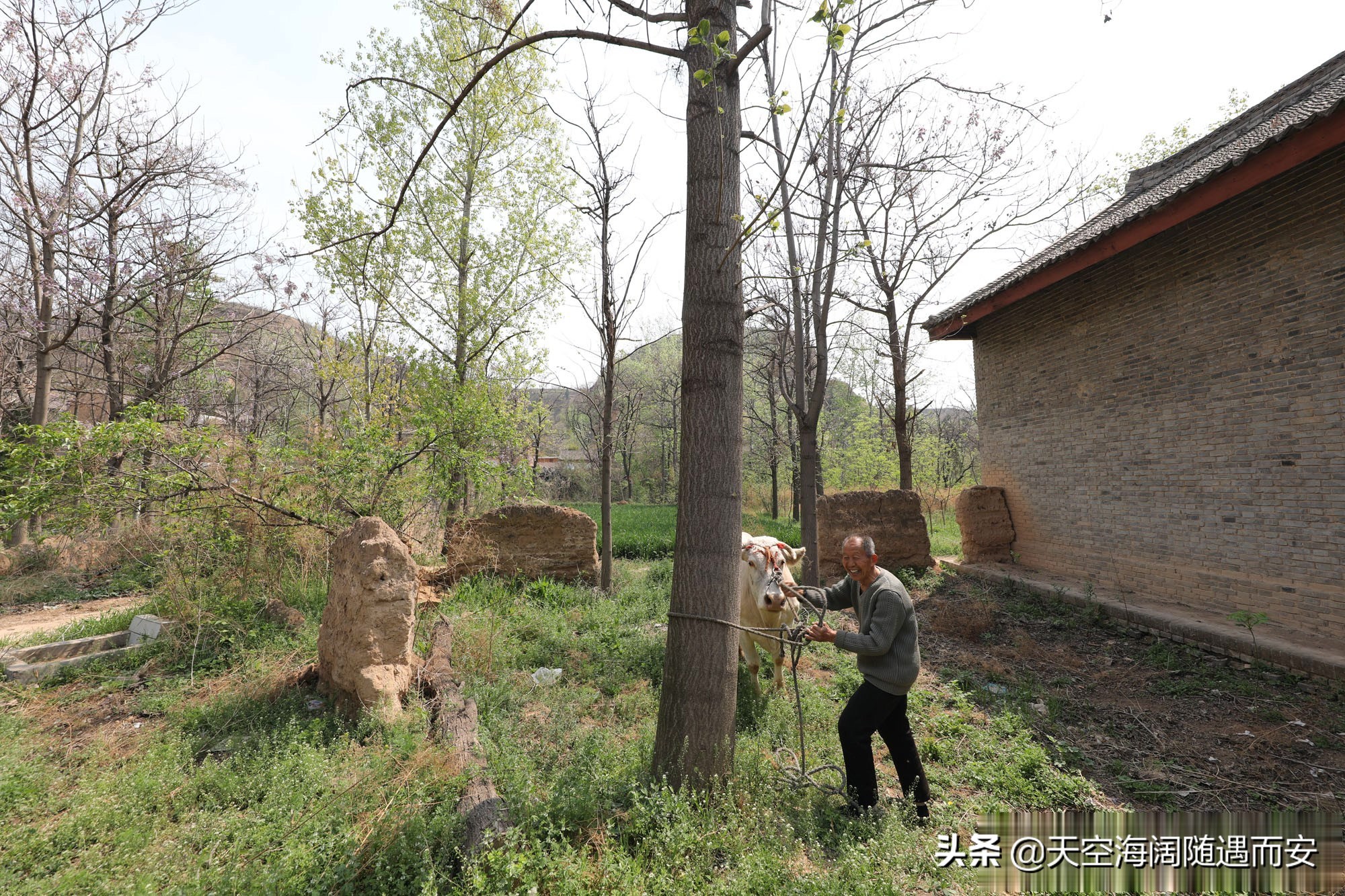 山西8旬大爷在农村做无本生意，3年净赚3万元，看他干的啥营生