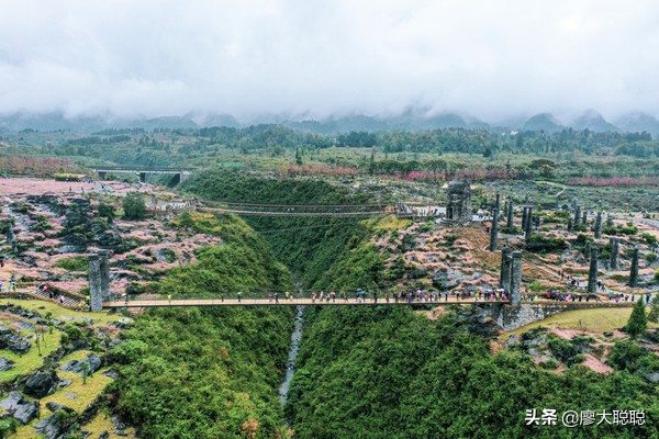 重庆这片花海你还没有来打开，那你就输了