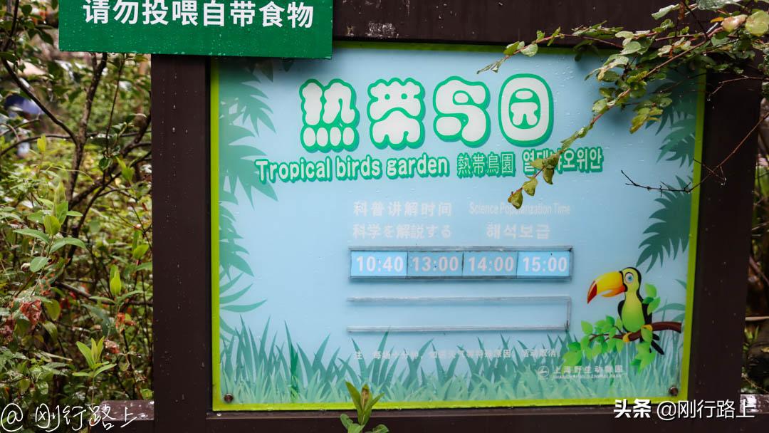 上海野生动物园可以自驾进去吗,从上海野生动物园怎样去上海南站