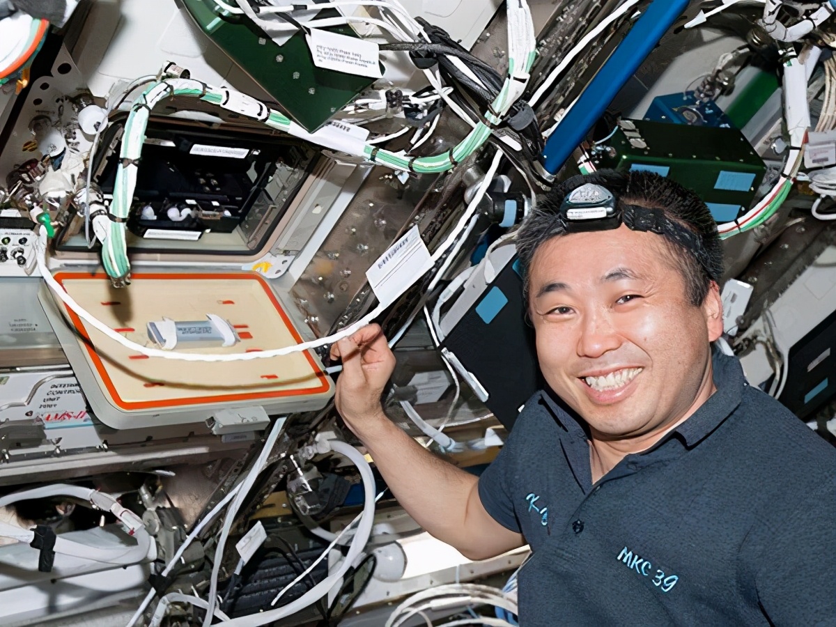 鎶楀嚮鐤儏绉戝鐭ヨ瘑,瓒ｅ懗绉戞櫘鍏辨姉鐤儏