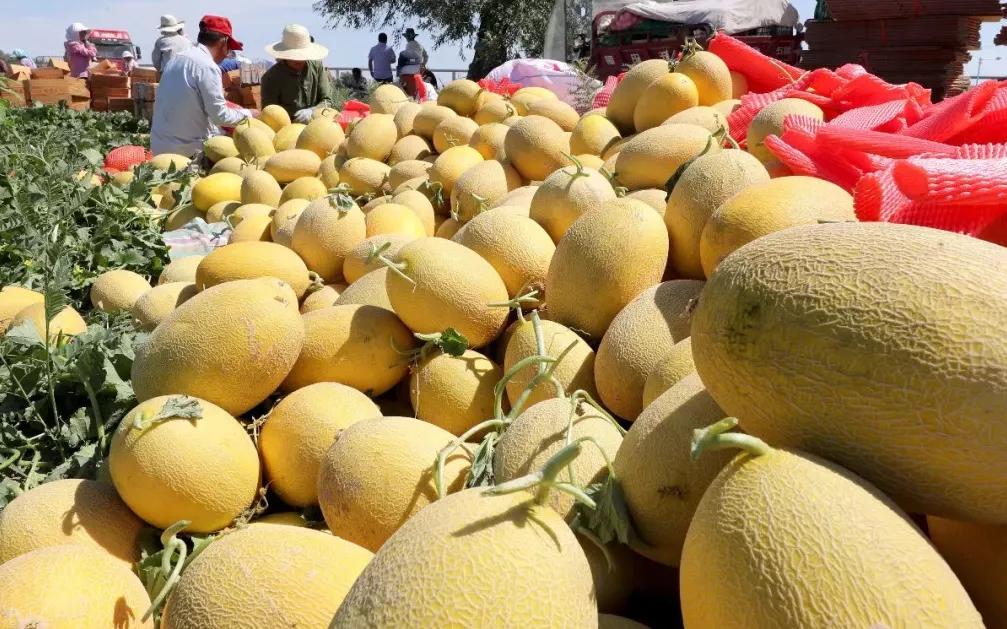 看看*疆新**哈密伊吾值不值得你去？,1