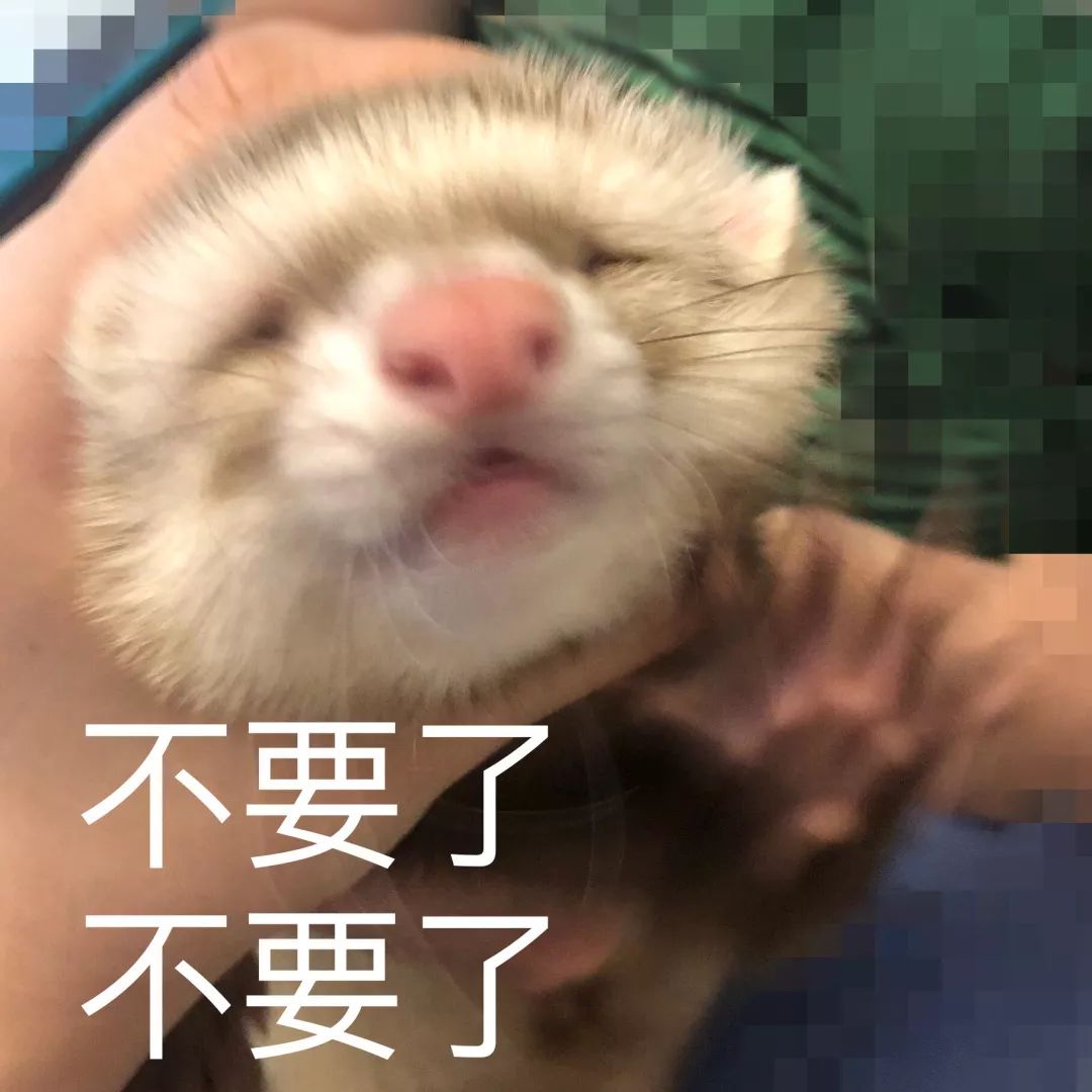 一只鸭子一万五元,一只鸭子一万多