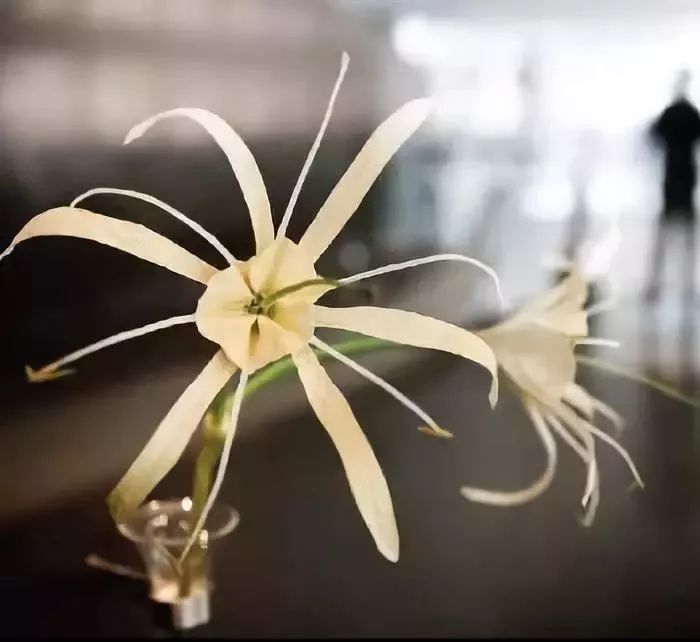 著名建筑室内照明设计分析,世界上最豪华建筑灯光设计