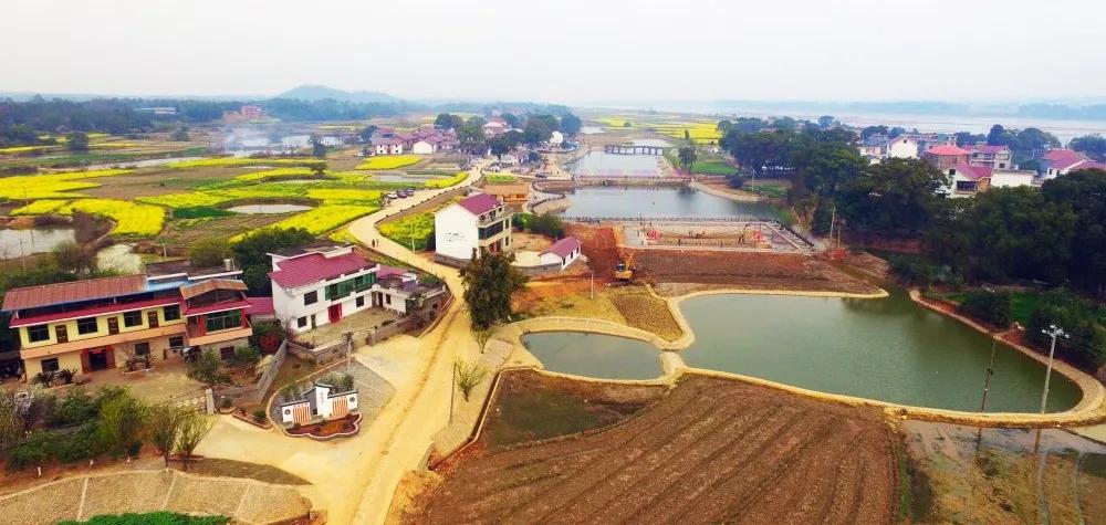 【谁不说咱家乡美】美丽中国，“乡”约万安（河西片）