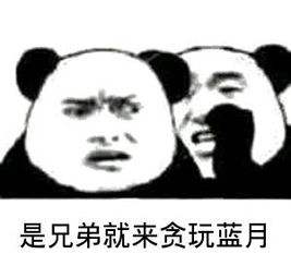 曾经火遍全网的游戏,曾经火爆游戏圈的游戏有哪些