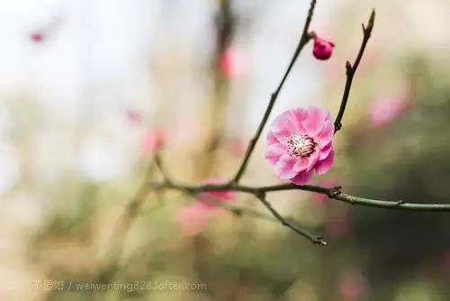 我的单相思,你是我的单相思完整版