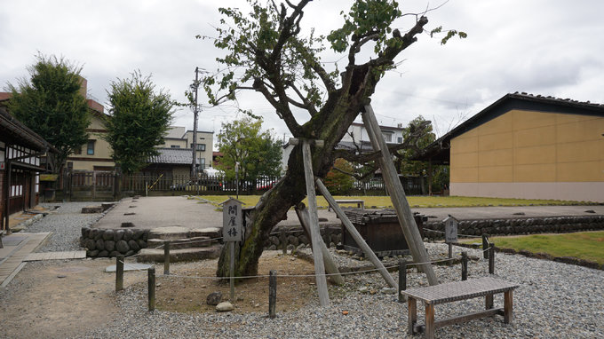 六月带你日本游,日本名古屋旅游7天