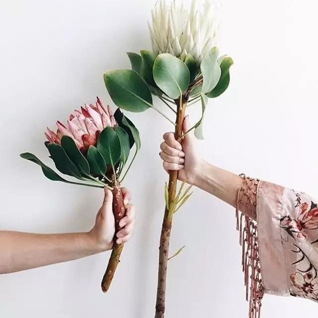 鲜花买回家一天就蔫了怎么办,鲜花拿回来瞬间就蔫了