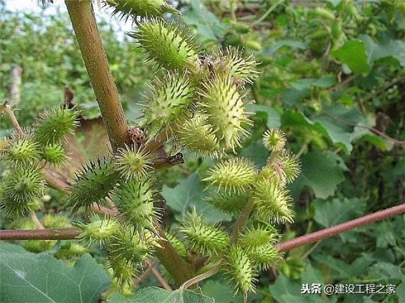 袋装水泥一般放多久会硬,涨知识啦科普