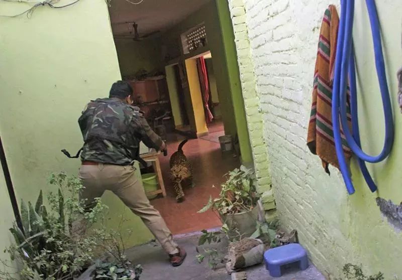 世界新闻摄影大赛获奖作品,国际新闻摄影