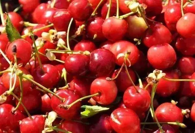 王府井百货造谣事件,王府井内幕交易被通报新闻