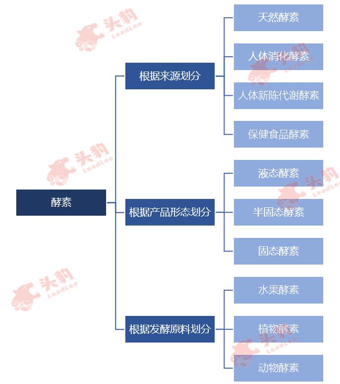 酵素的十大神奇功效,酵素作用全面解答看完赶快喝酵素